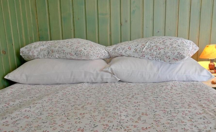 Anna Homestay